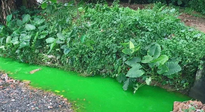 觸目驚心！水全都“染綠”了！多家企業(yè)被查處！